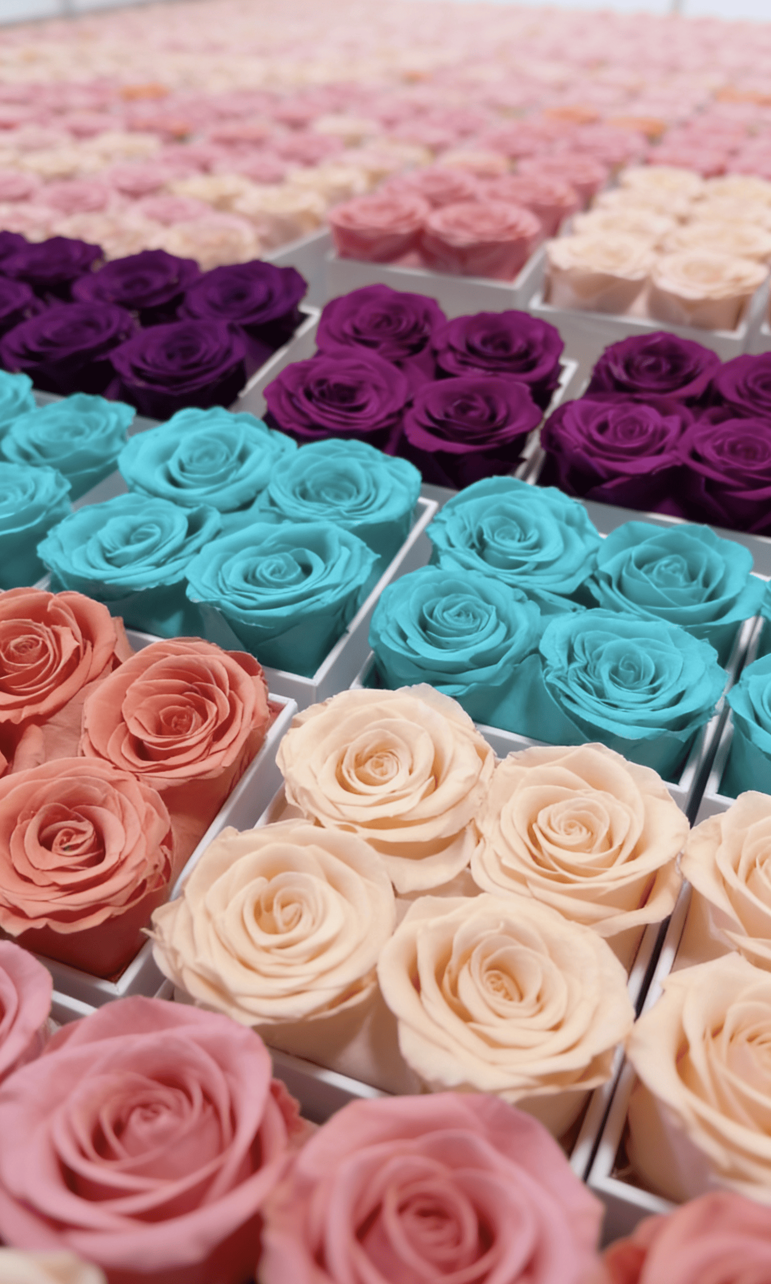 看到阿姨们在认真为大家插花的场景，忍不住提醒一下大家！3月7日京东3.8节活动，