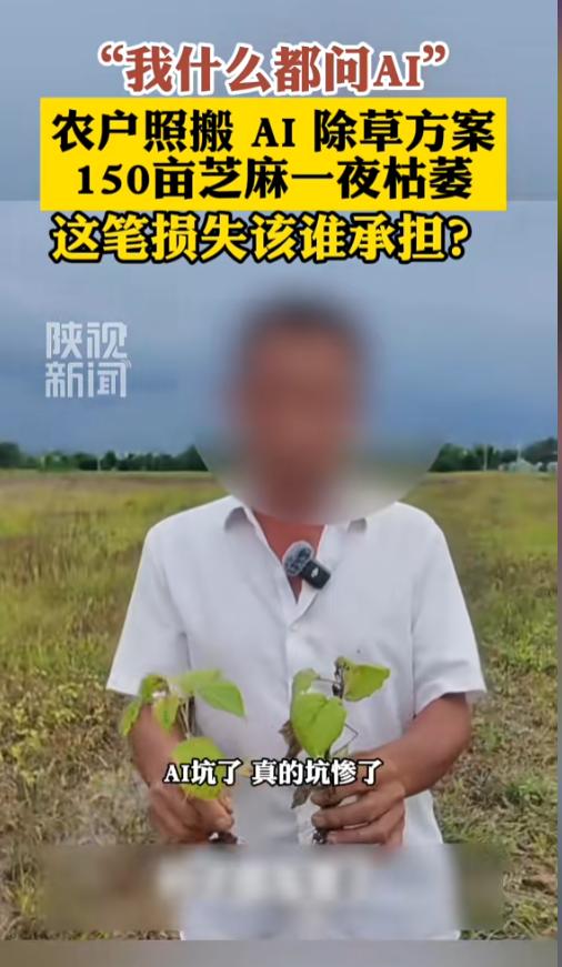 “亏惨了！”8月2日报道，安徽，一男子种了150亩芝麻，除草的时候，他照搬了AI