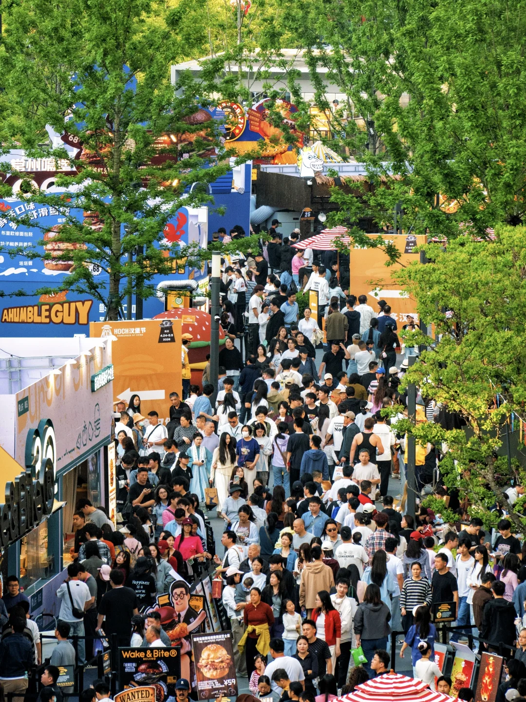 现场直击‼️来南京大半人，居然来这办一件事