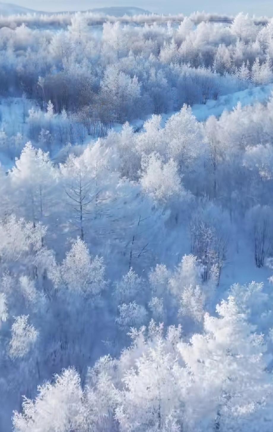 赴长春之约，享冰雪之趣。
与辉同行、兰知春序官宣了下一站阅山河时间、地点！
时间