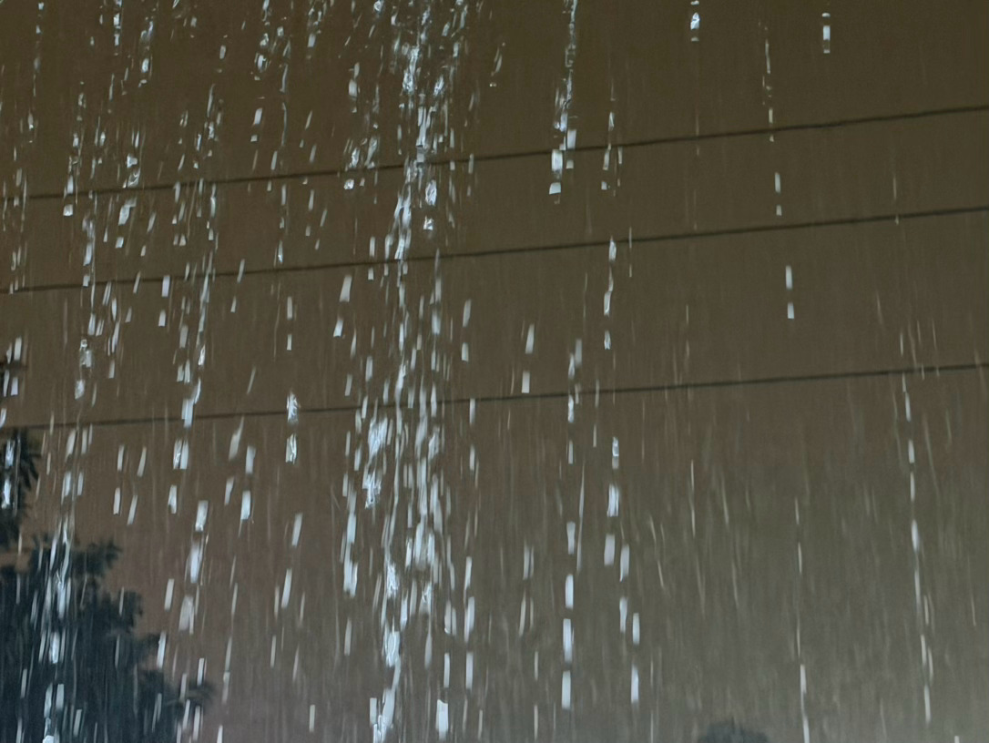 听雨…… ​​​