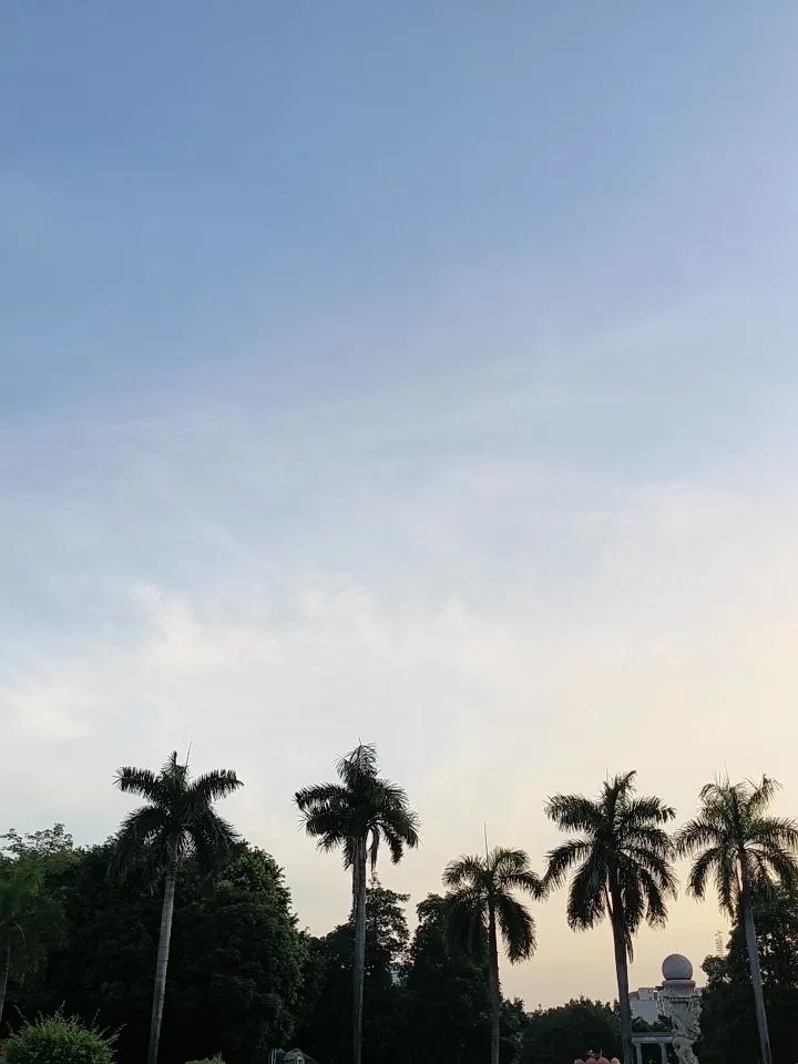 早晨的蓝天白云，如同大自然最清新的问候，轻轻唤醒了沉睡的世界。拉开窗帘的瞬间，那