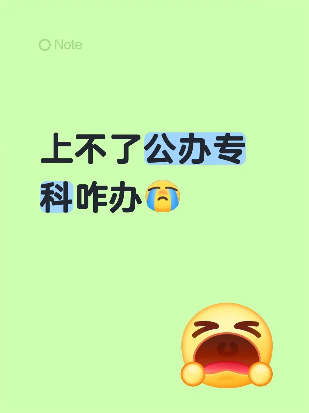 上不了公办专科咋办公办院校 民办专科 考不上大学怎么办
