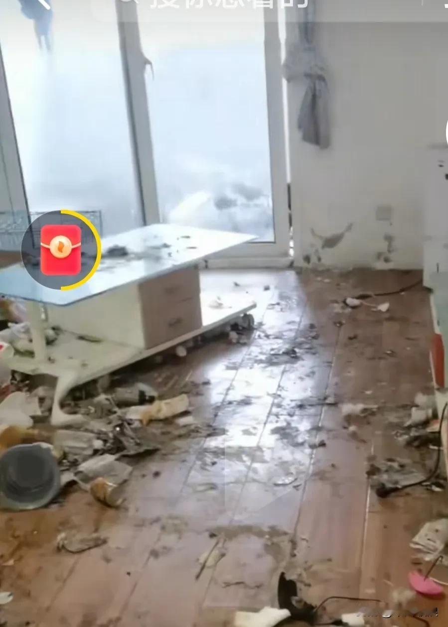 一对小情侣退房后里面搞得乱七八糟，脏得要死，还有一只边牧他们也不要了，过了几天房