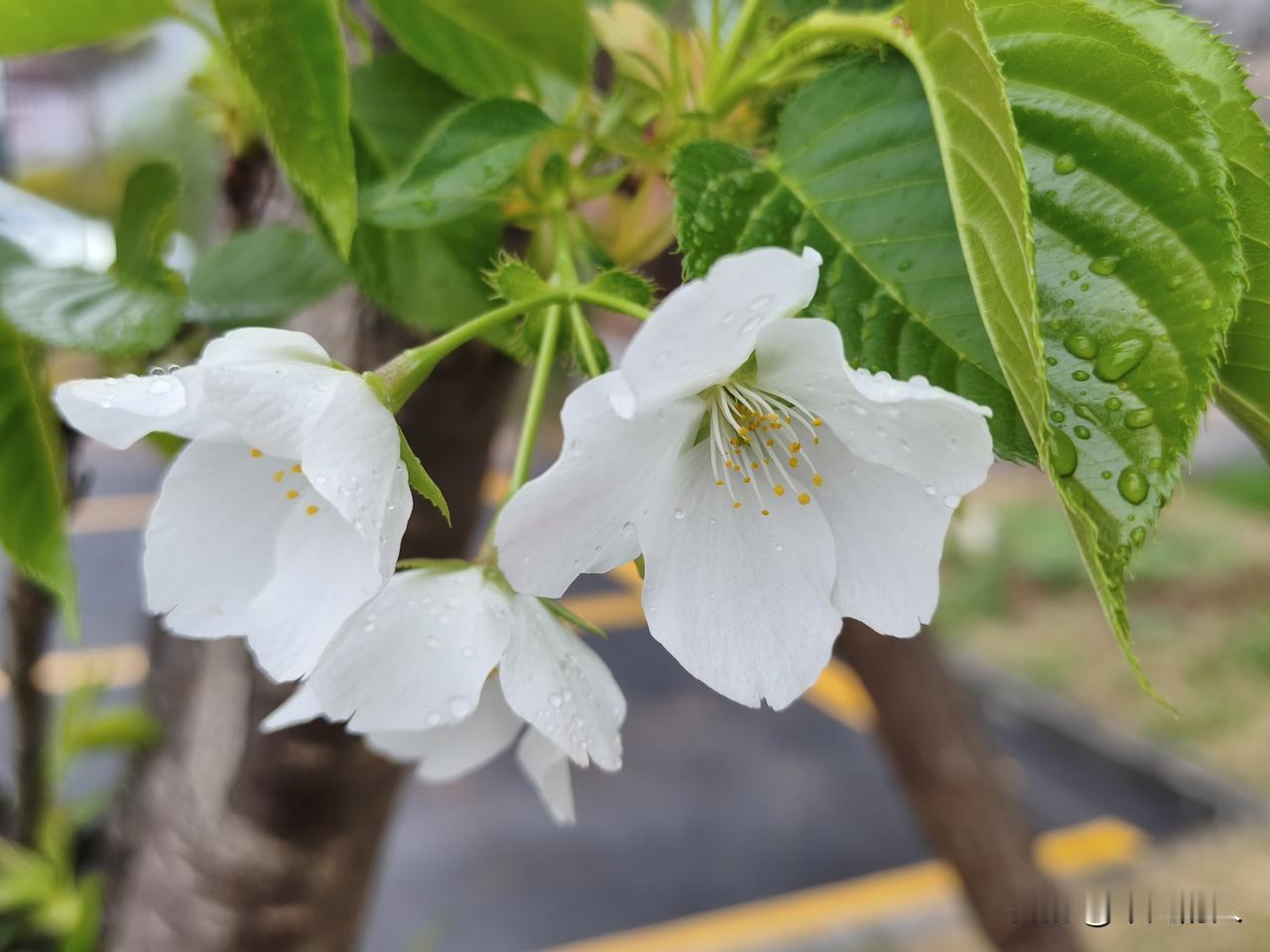 落落大方，好好生活
       在最艰难的时候，别老想着太远的将来，只要鼓励自