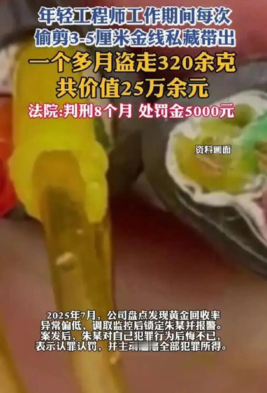 高精尖工程师的"蚂蚁搬家"：每月偷300克黄金，无尘服口袋成了藏宝洞！

厦门一
