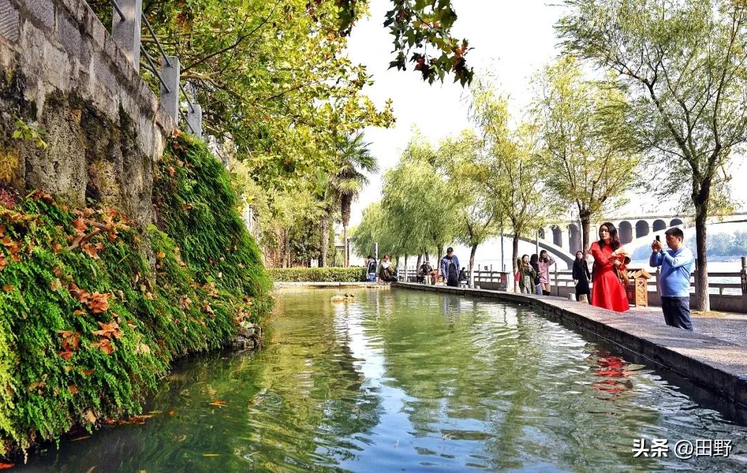 今年春天最想实现的心愿 今年春天，我最想实现心情愉悦、身体健康的心愿。
春天一到