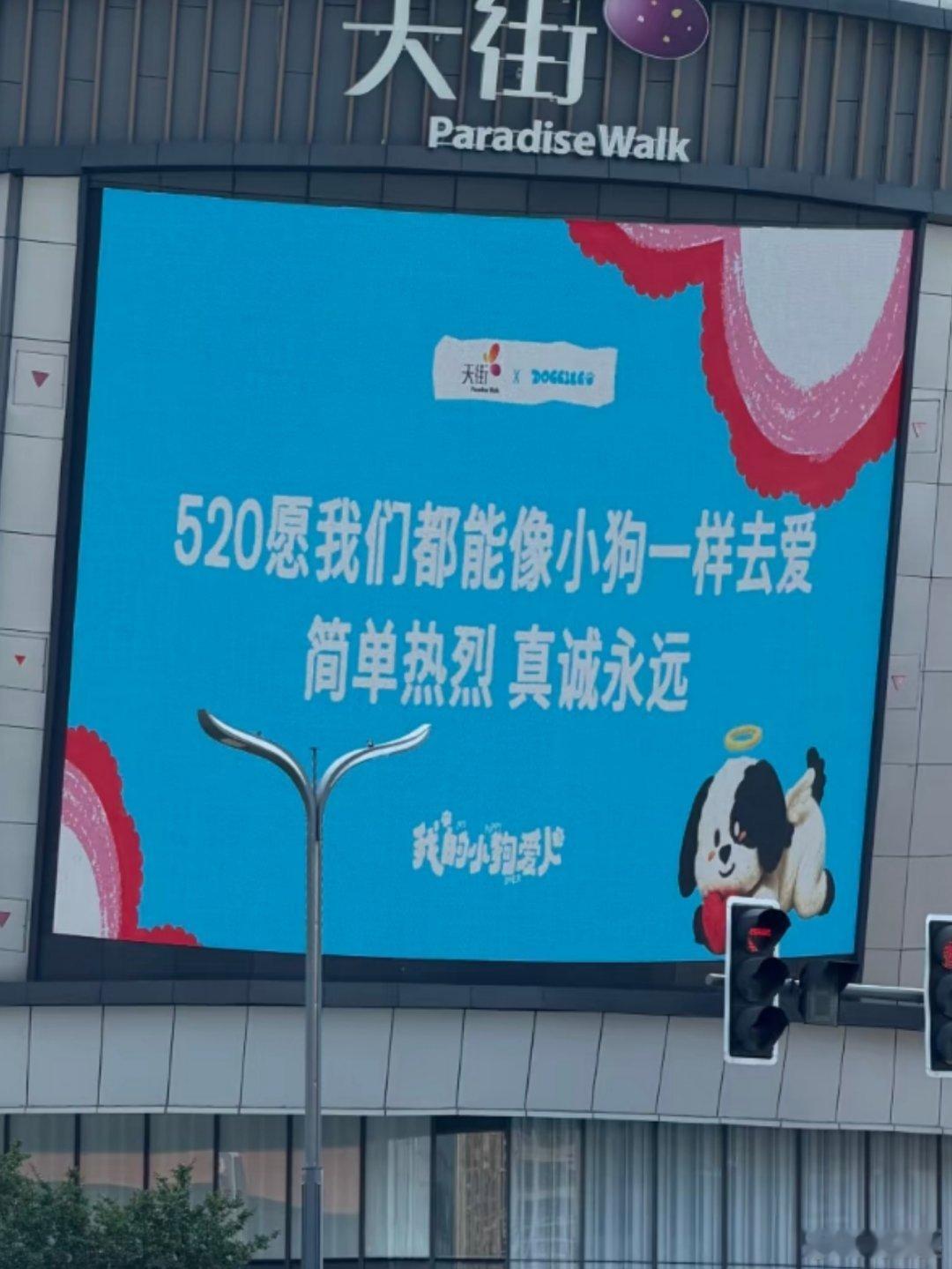 -“520愿我们都能像小狗一样去爱简单热烈，真诚永远”好有爱的标语！！毛孩子的爱