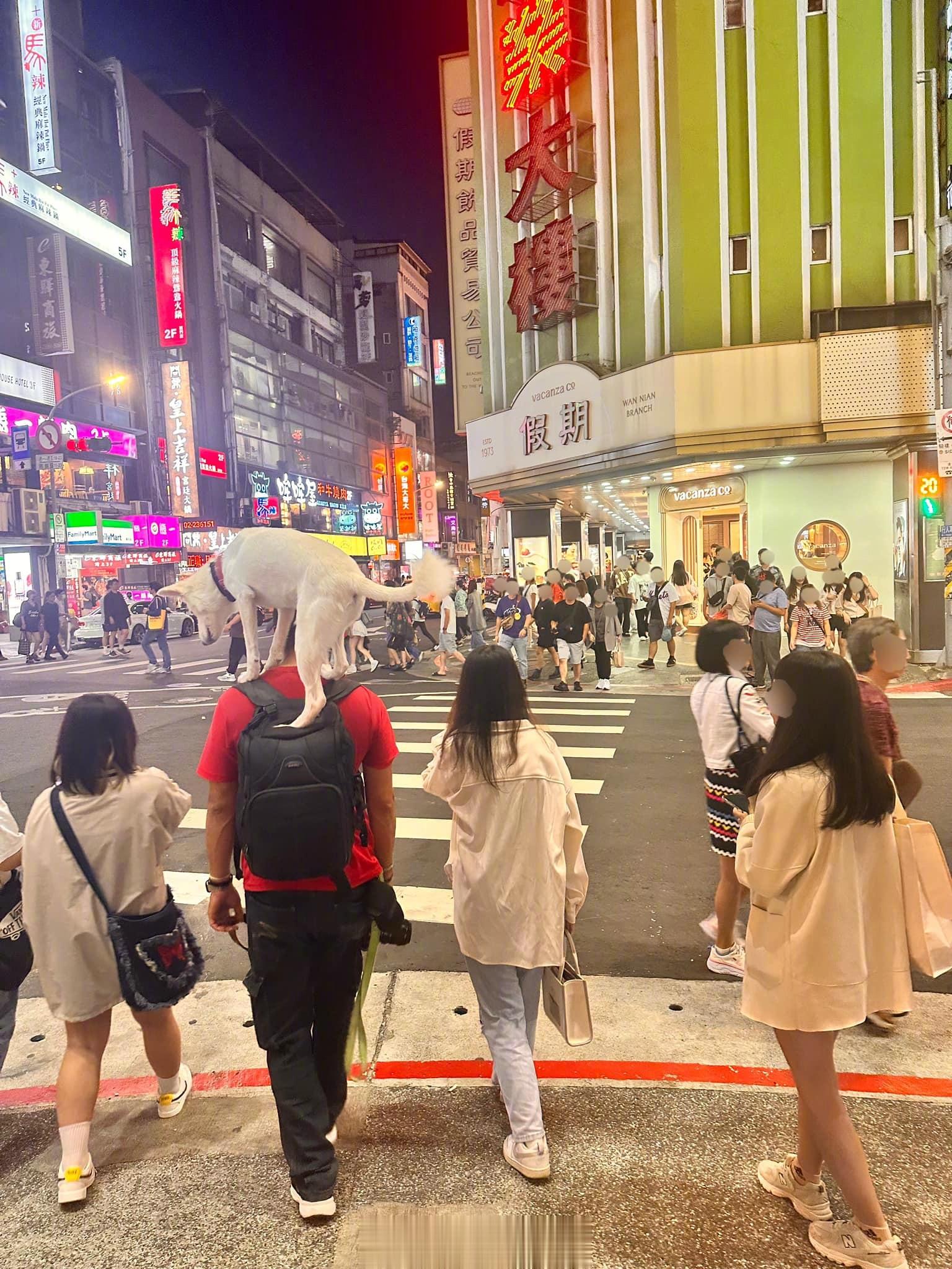 有趣的台湾网图[照相机]（第80.5期） ​​​