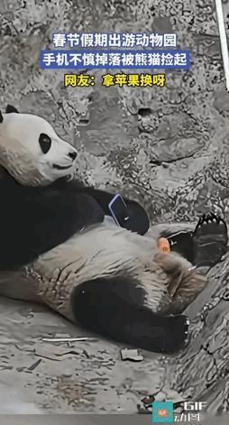 不懂就问，
这么明显，你当熊猫是瞎的吗？
不能拿竹子之类的进行更换吗？