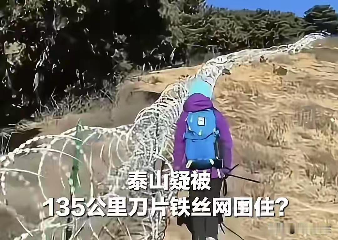据最新通报，那长达135公里、耗资2519万元的刀片刺绳隔离网，已有80%被拆除