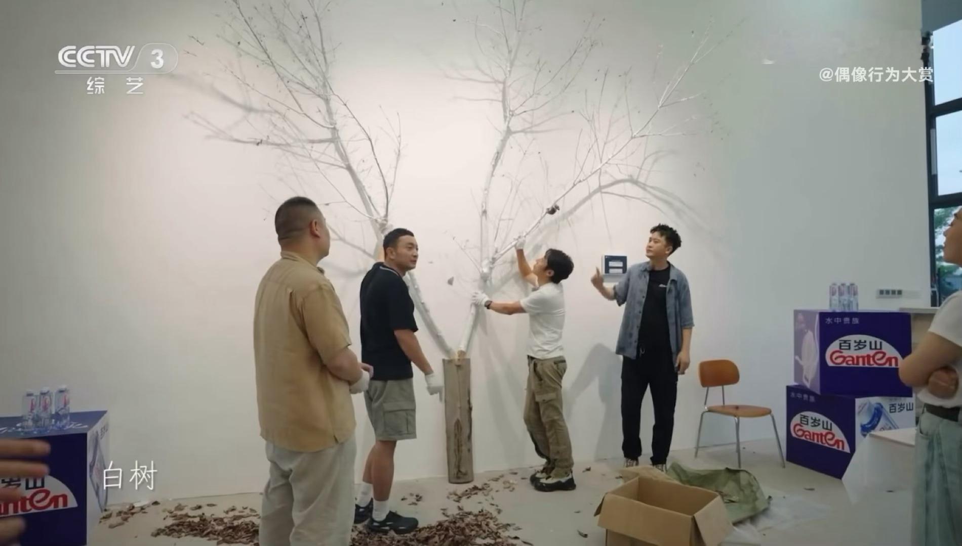 撒贝宁也白活上了撒贝宁和尼格买提在一起搞抽象真的好搞笑，小尼给树取名：白活！小撒