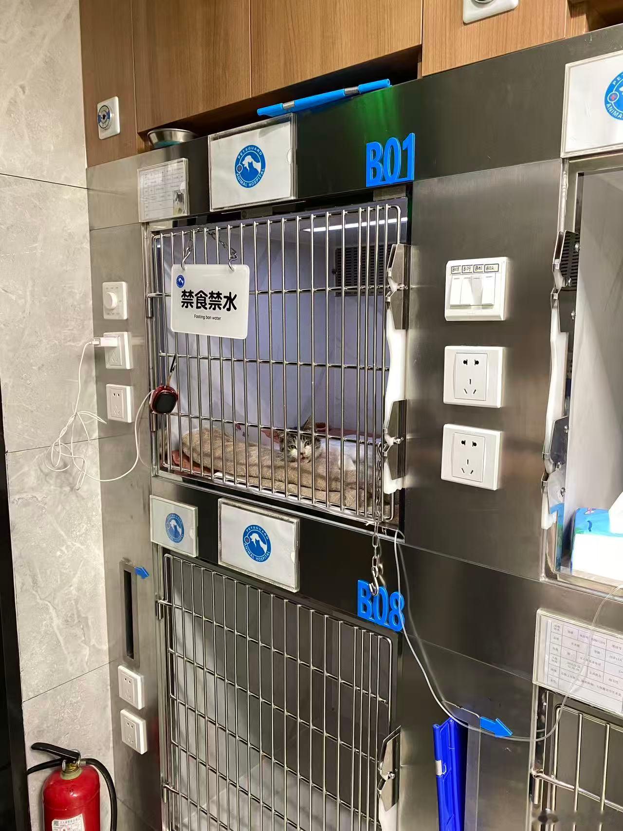 小董的近况，感谢大家对她的关爱！她也非常努力！ 小董cs182小屋cs182 ​