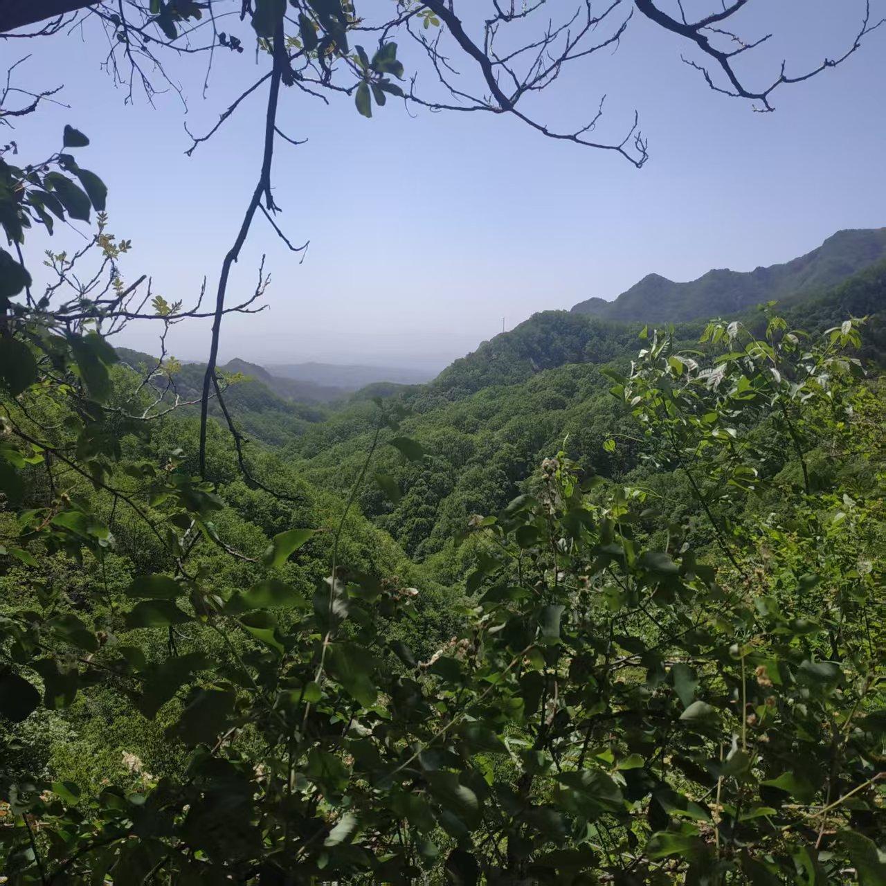 上证大盘形态不佳，当防止顶部出现

入市19年老股民5月29日侃股：仅供参考！