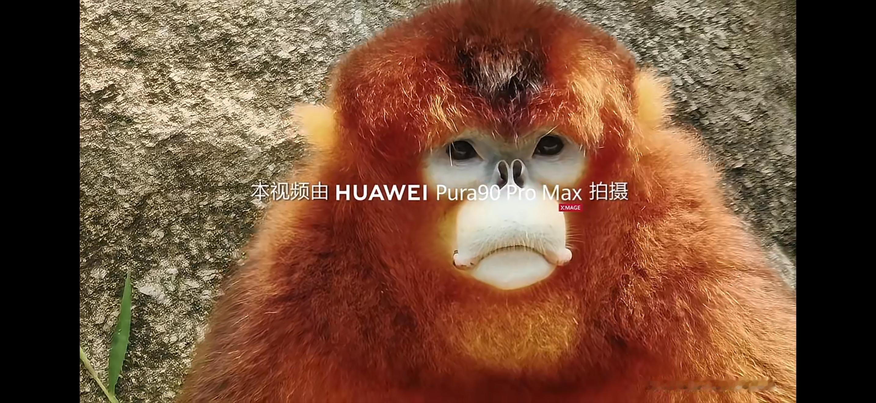 华为Pura90ProMax搭载2亿像素长焦 2亿大底长焦