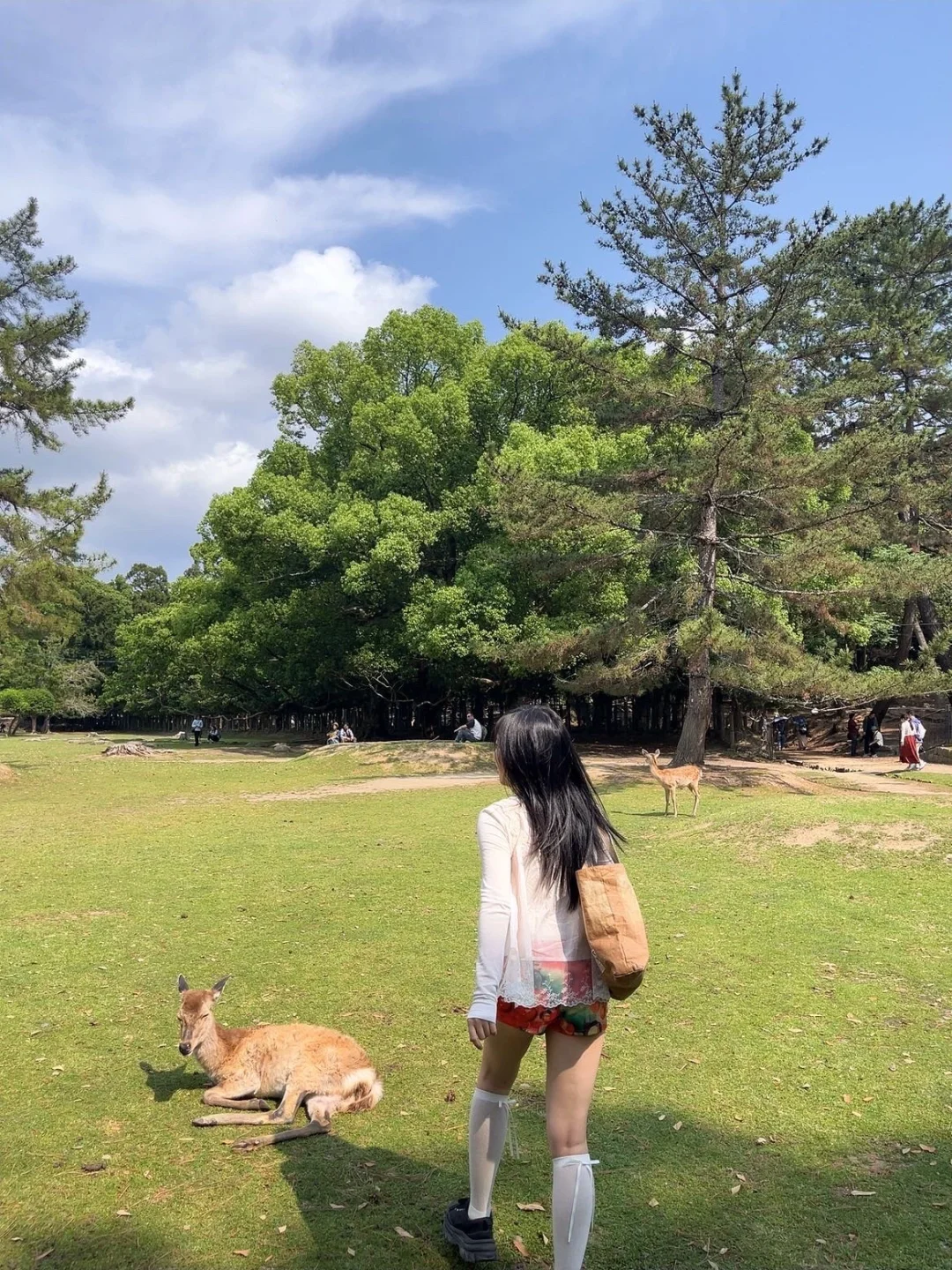 过期回忆｜京都的后劲太太太大了