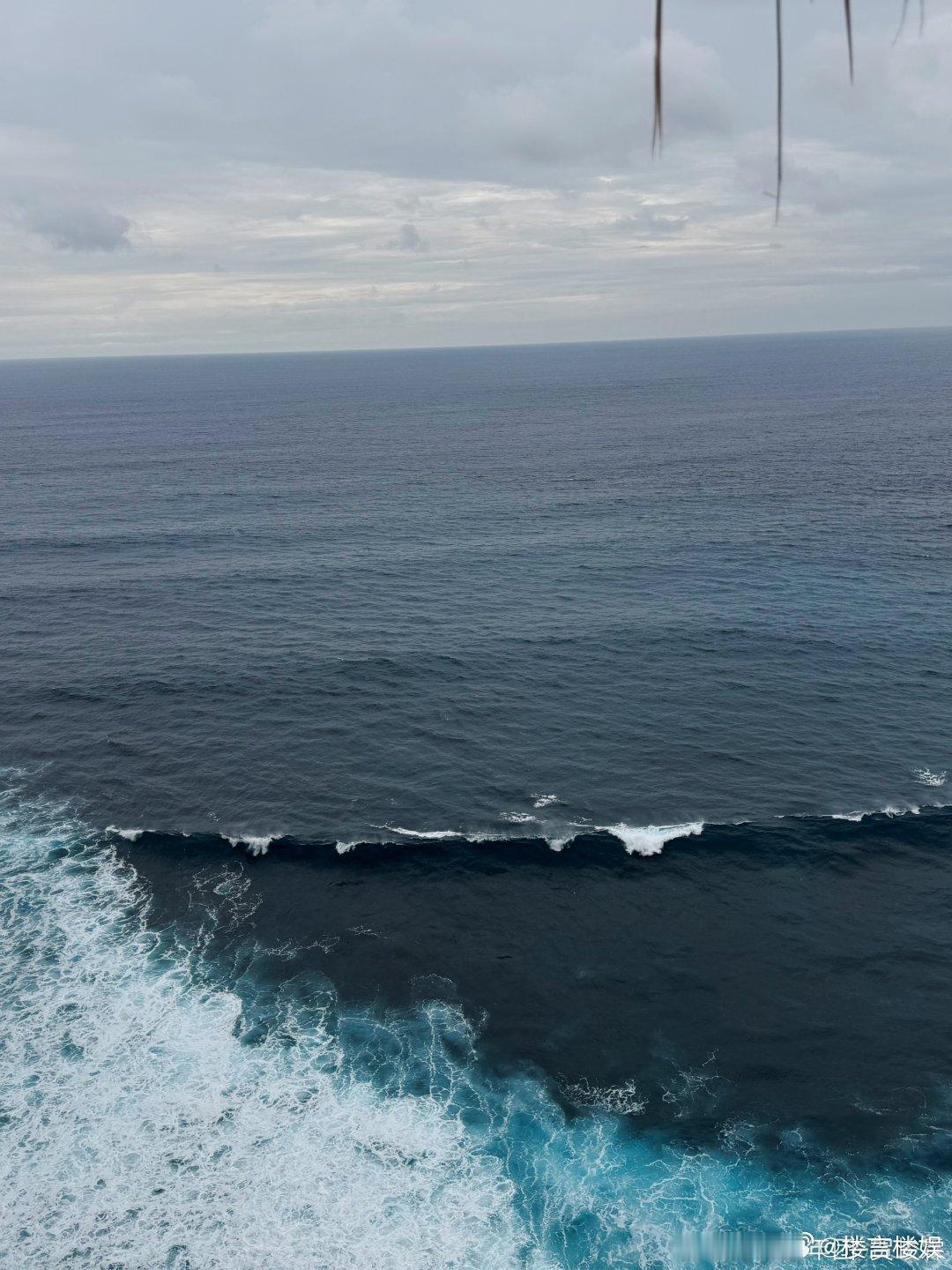 贺峻霖微博更新海海海 