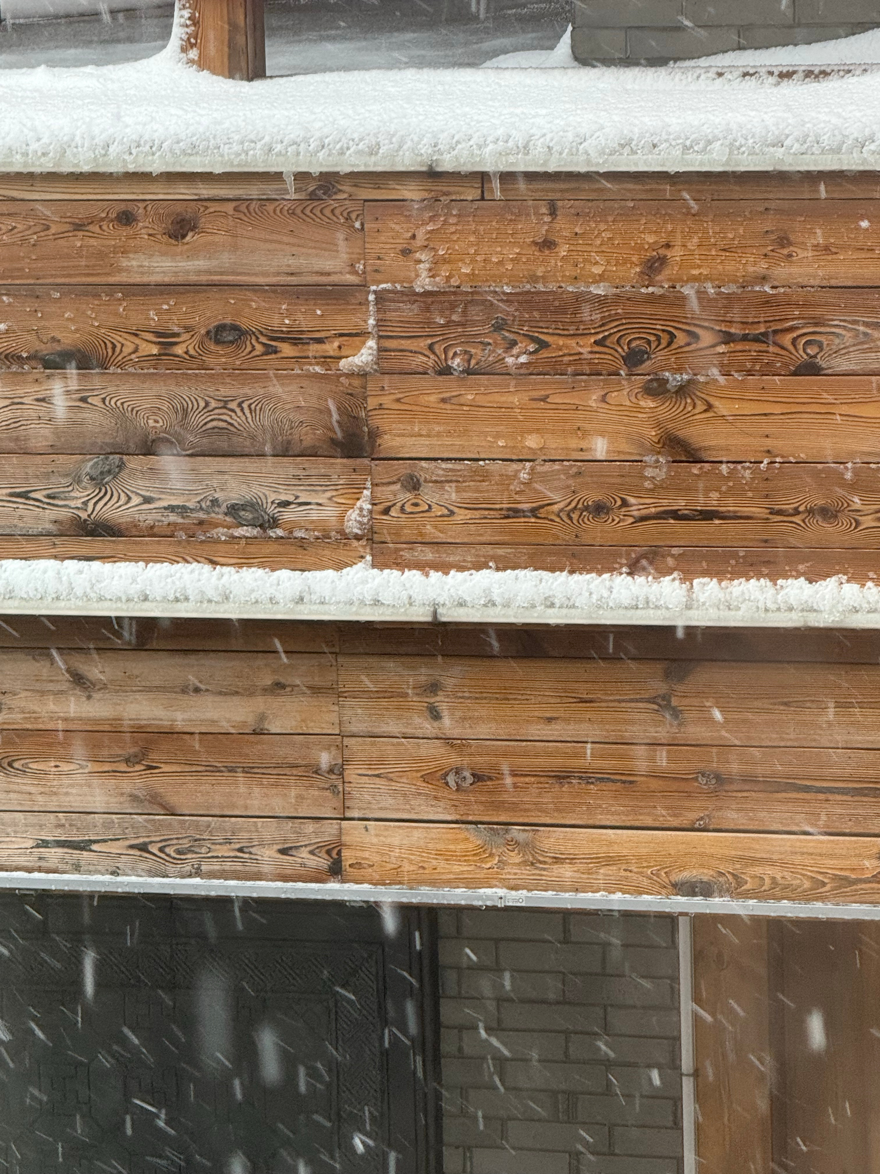 almira好激动初雪 ​​​