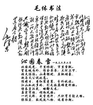沁园春雪[玫瑰]
