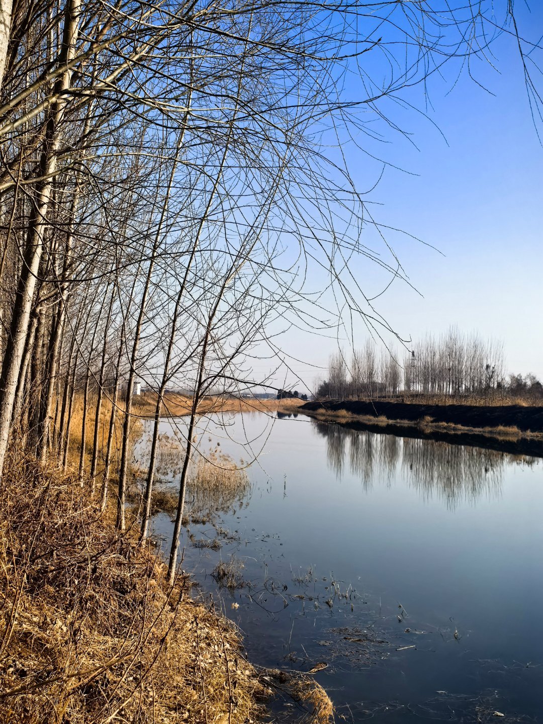 树影婆娑，倒影流年；小河安澜，静待春归。春节摄影大赛