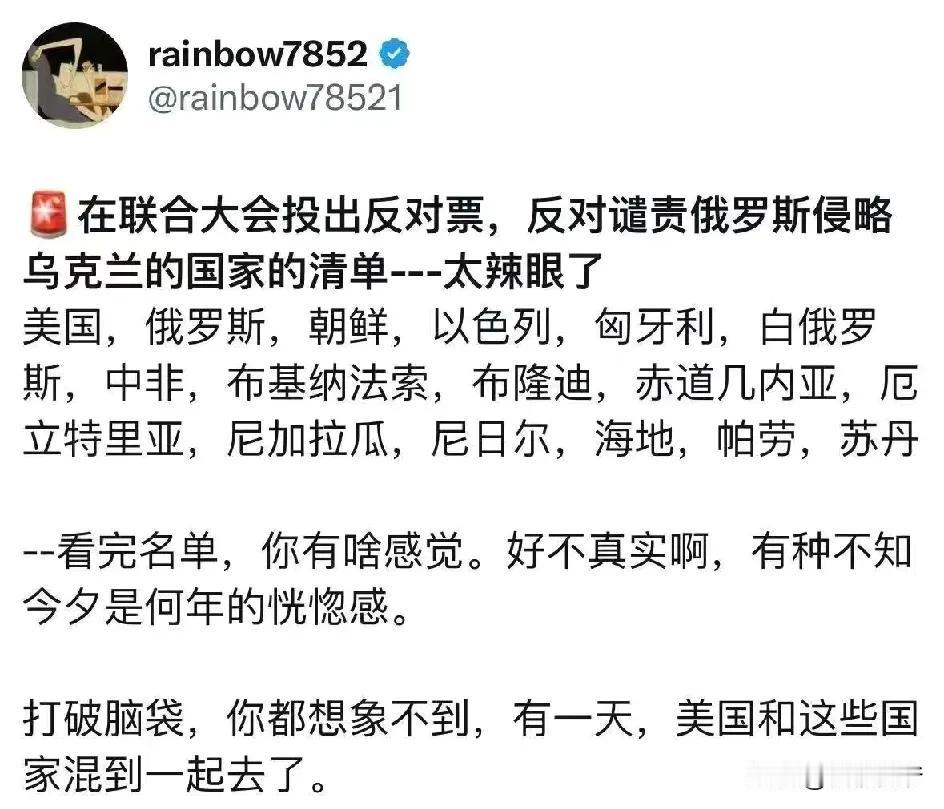 在联合国大会投反对票，反对谴责俄罗斯的国家，包括美国、俄罗斯、以色列、朝鲜、白俄