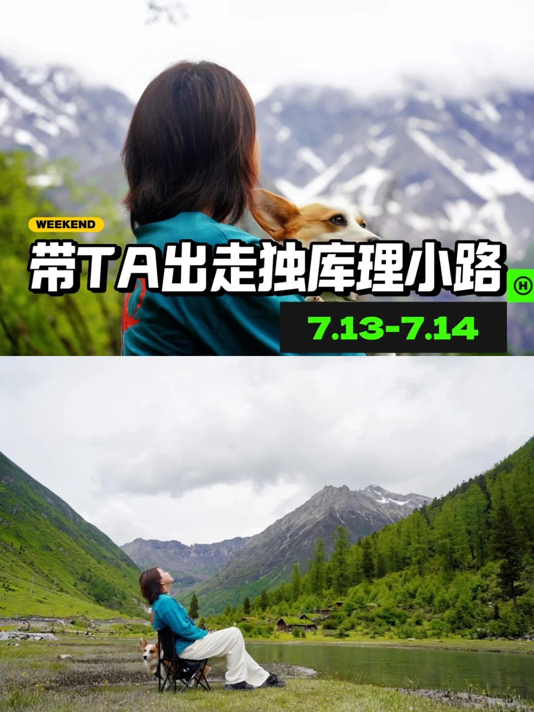 新晋爆🔥理小路，带🐶就该这么玩❗️