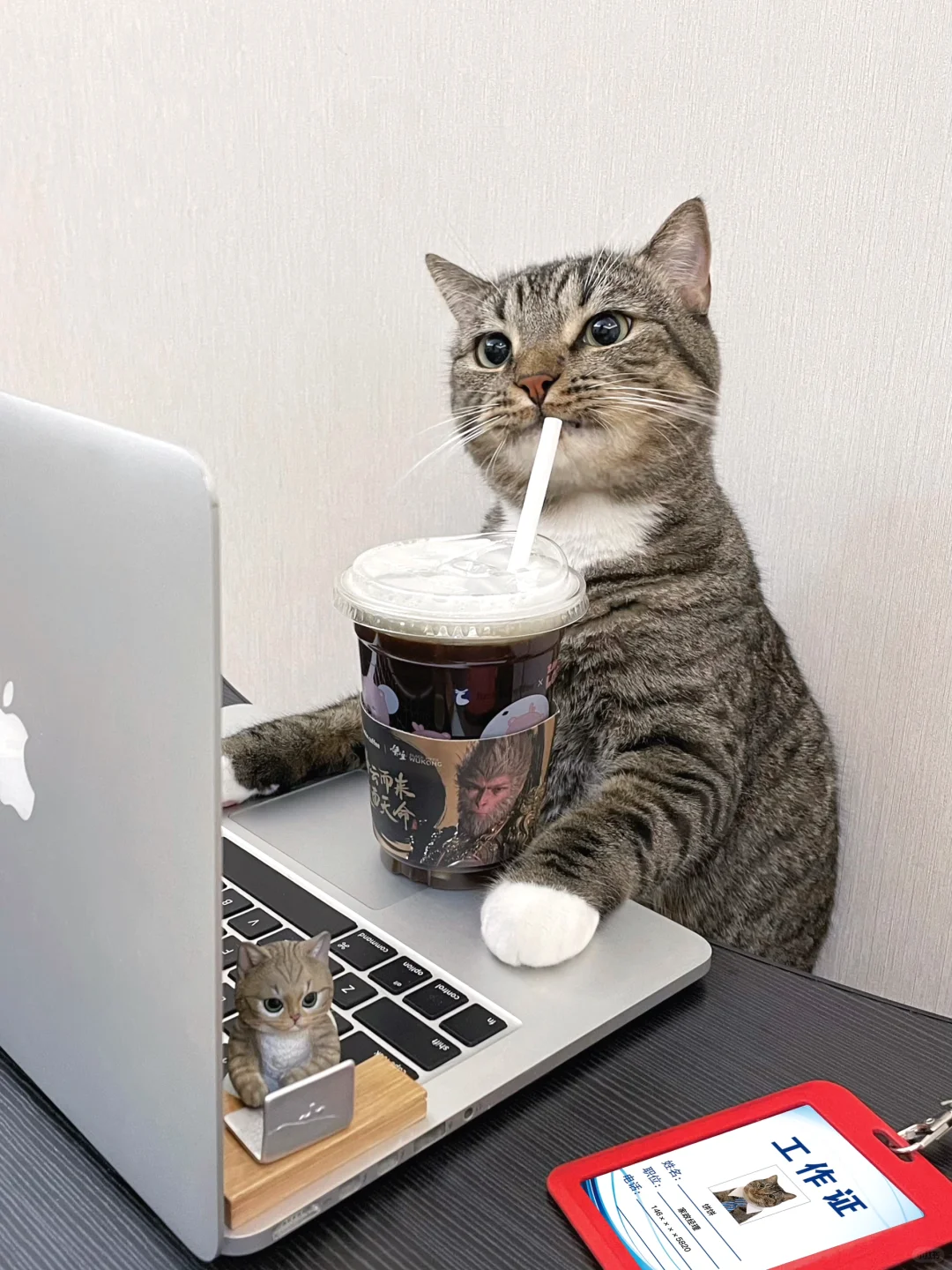 大无语，放桌上的饮料又被猫同事偷喝了！