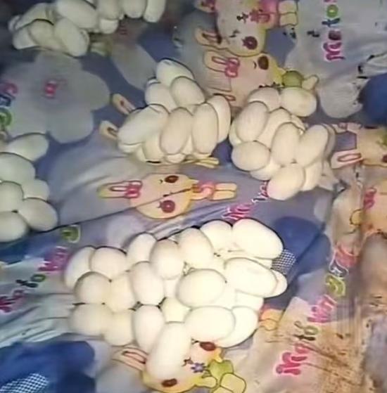 男子出门在外打工，一走就是半年。等他推开家门的瞬间，整个人都僵住了，原本熟悉的卧