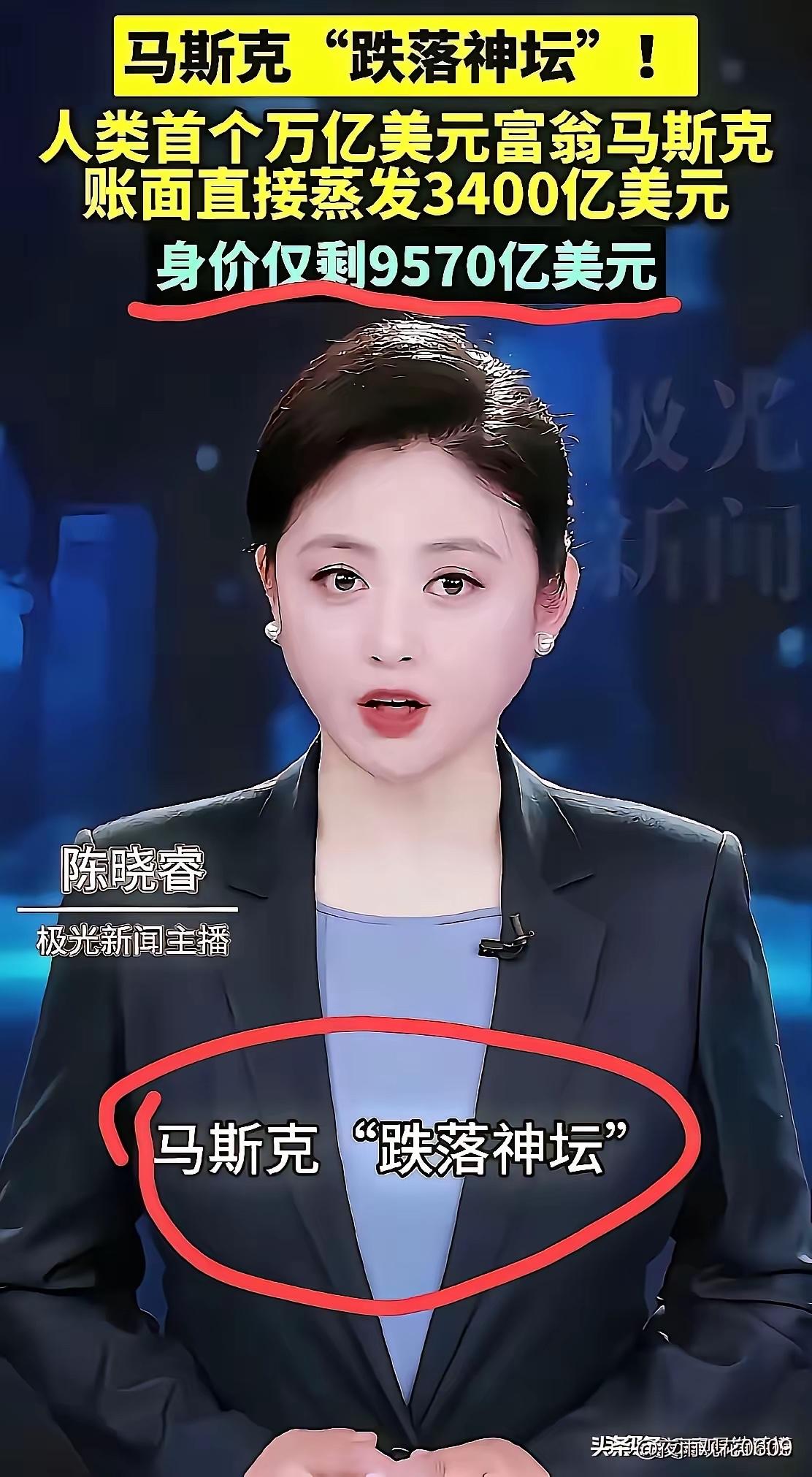 他的意思是，马斯克算啥，国家的森林、矿山、银行、央企、航天工业都有我的股份呢！