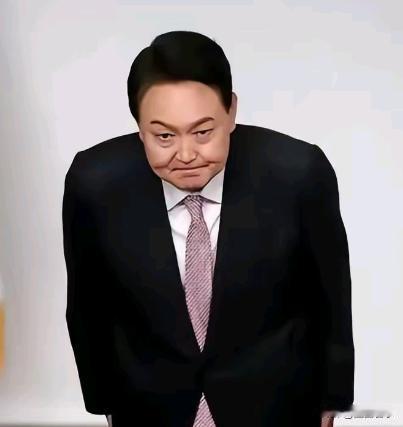 冰火两重天，先喜后忧的折磨？！
        首尔中央地方法院对韩国前总统尹锡