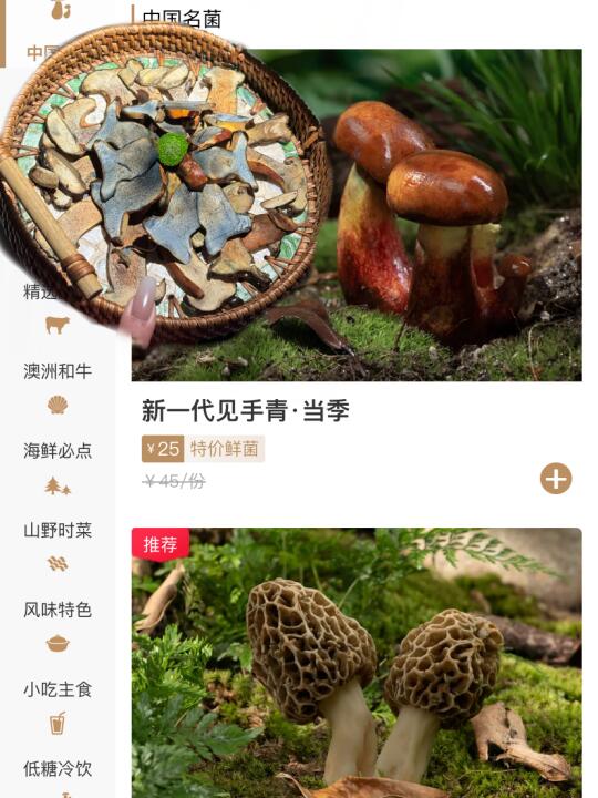 😱不在云南在珠海！🍄见手青来了！