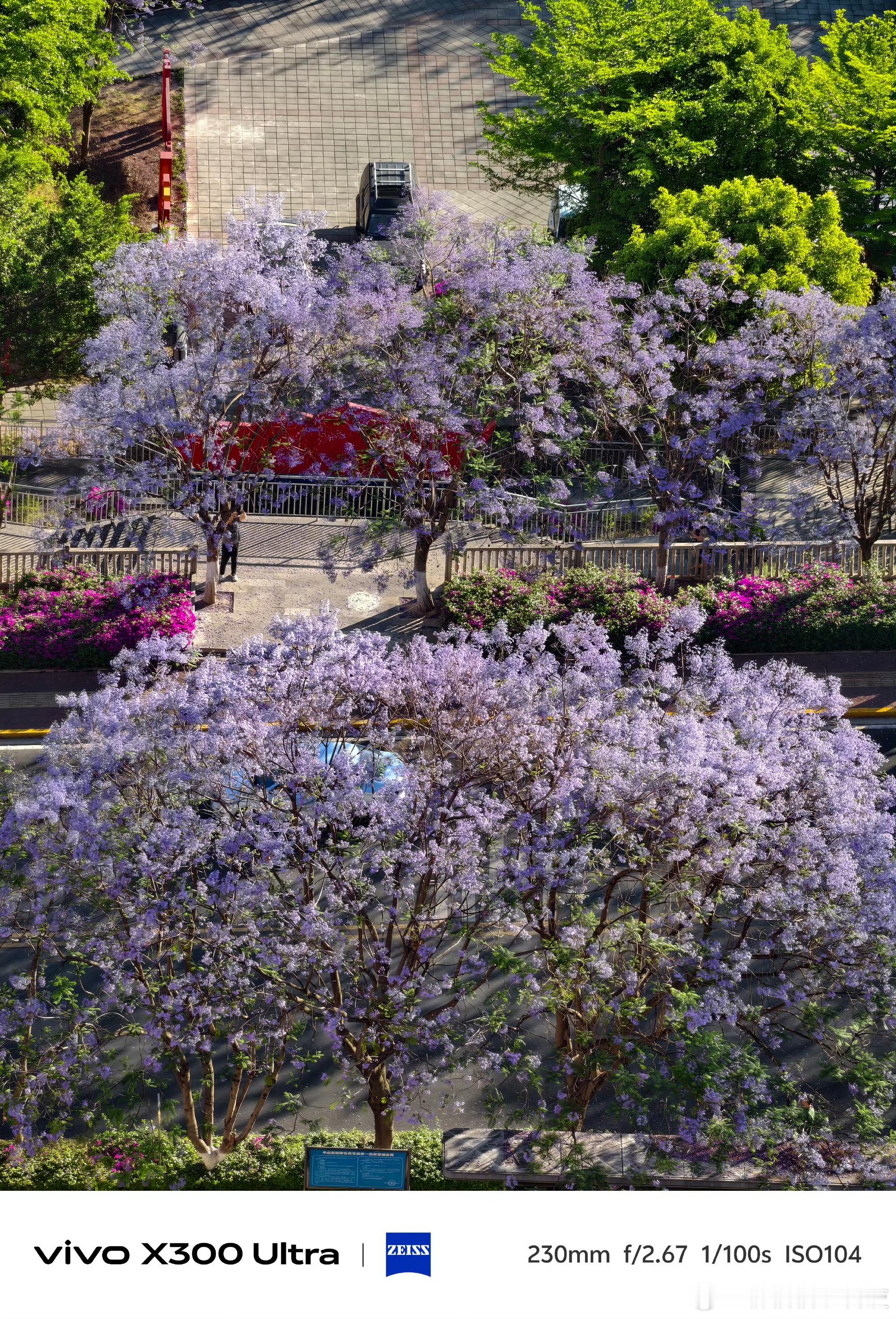 今日随手拍，还不错吧📷 