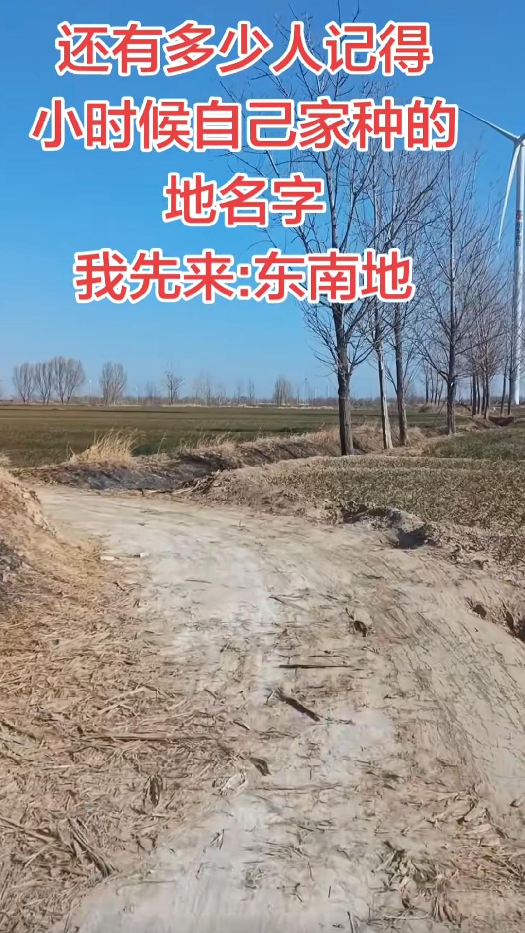 小时候的记忆，东南地。我记得小时候，我家的地叫东北地，西北地坐标山东鲁西南，你老