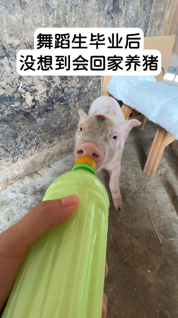 大学生脱下长衫后都在做什么