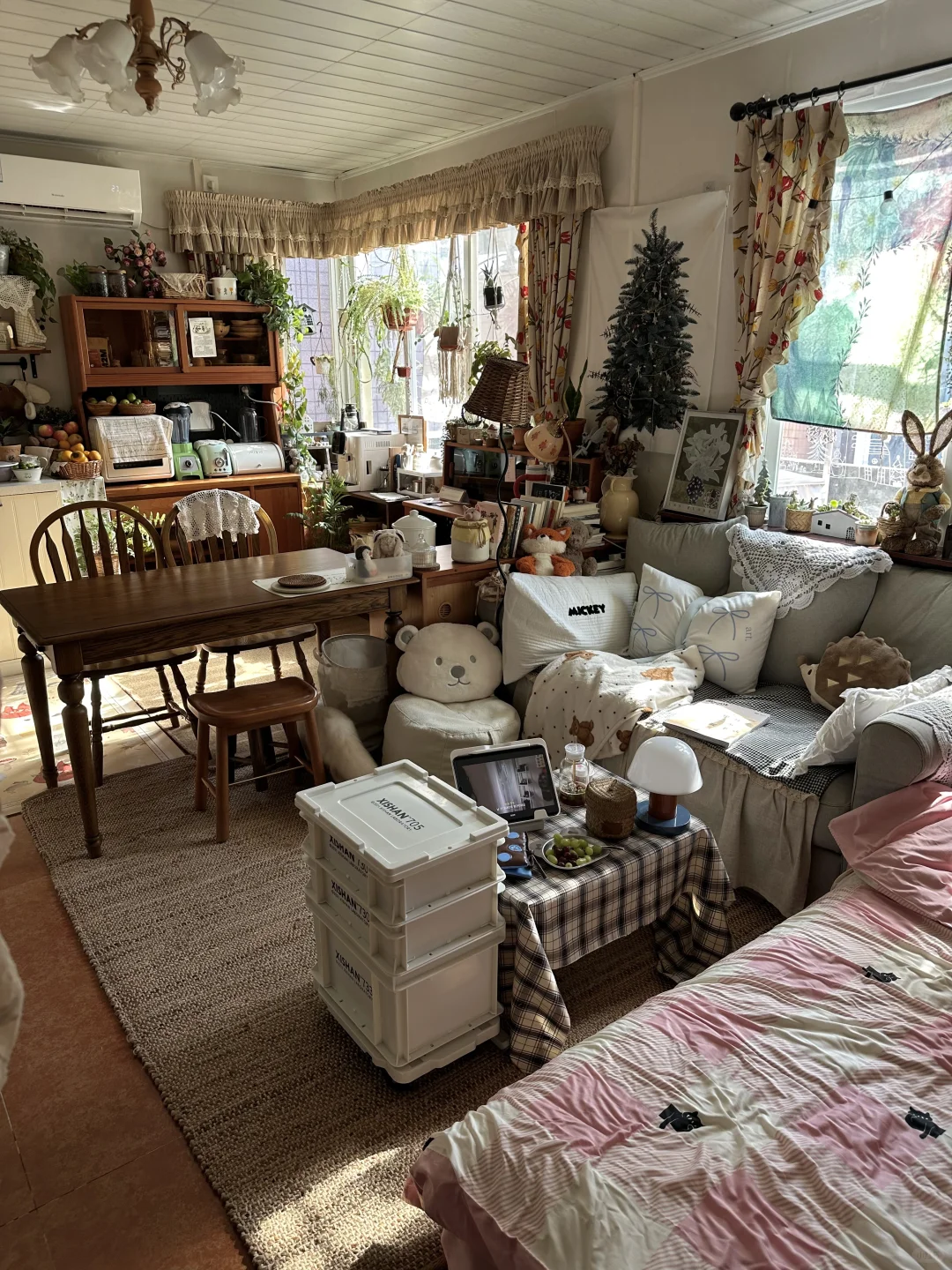 分享夏末初秋小屋实况🎀 🐾