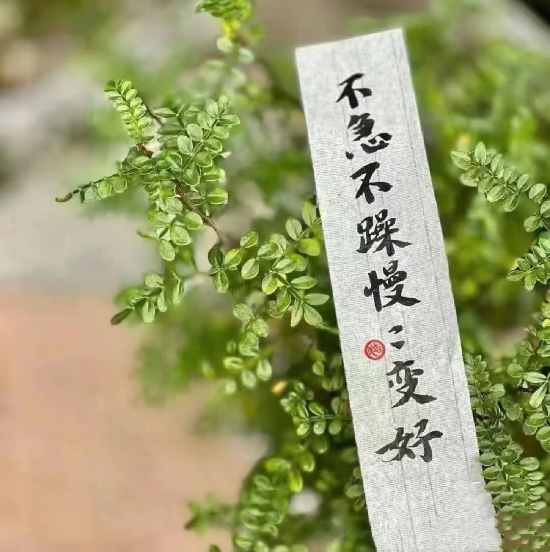 新的一天开始了……记得带上阳光和明媚去遇见那个更好的自己 ​​​