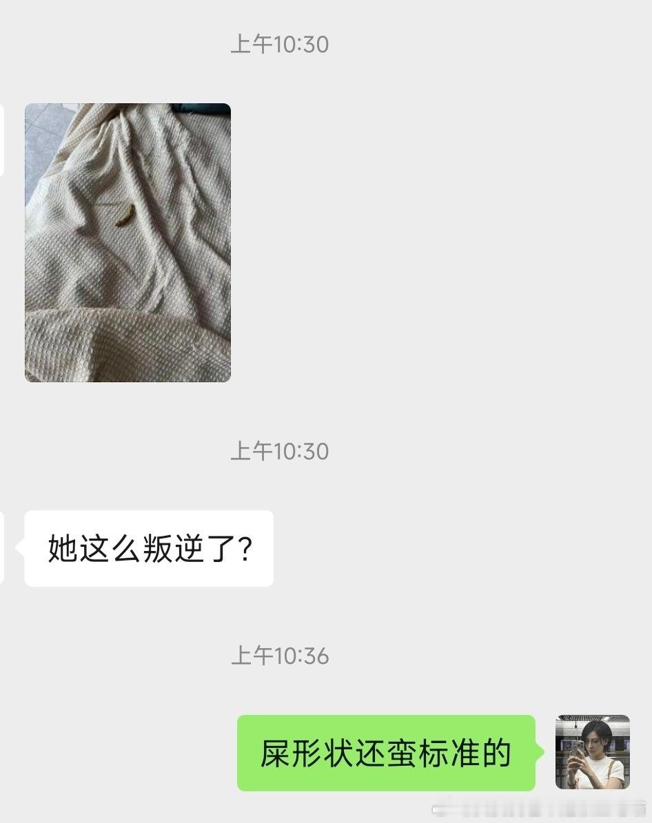 49891【心灵丑】坏小咪，前天钻沙发套底下睡大觉，今天直接在沙发上屙粑粑，后天
