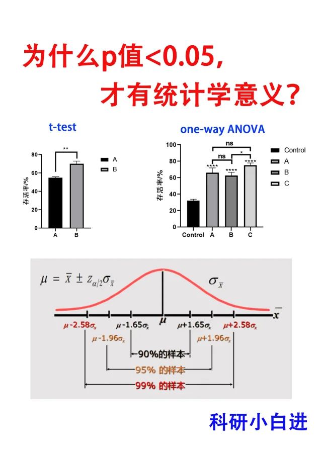 🔥为什么p值小于0.05，才有统计学意义？