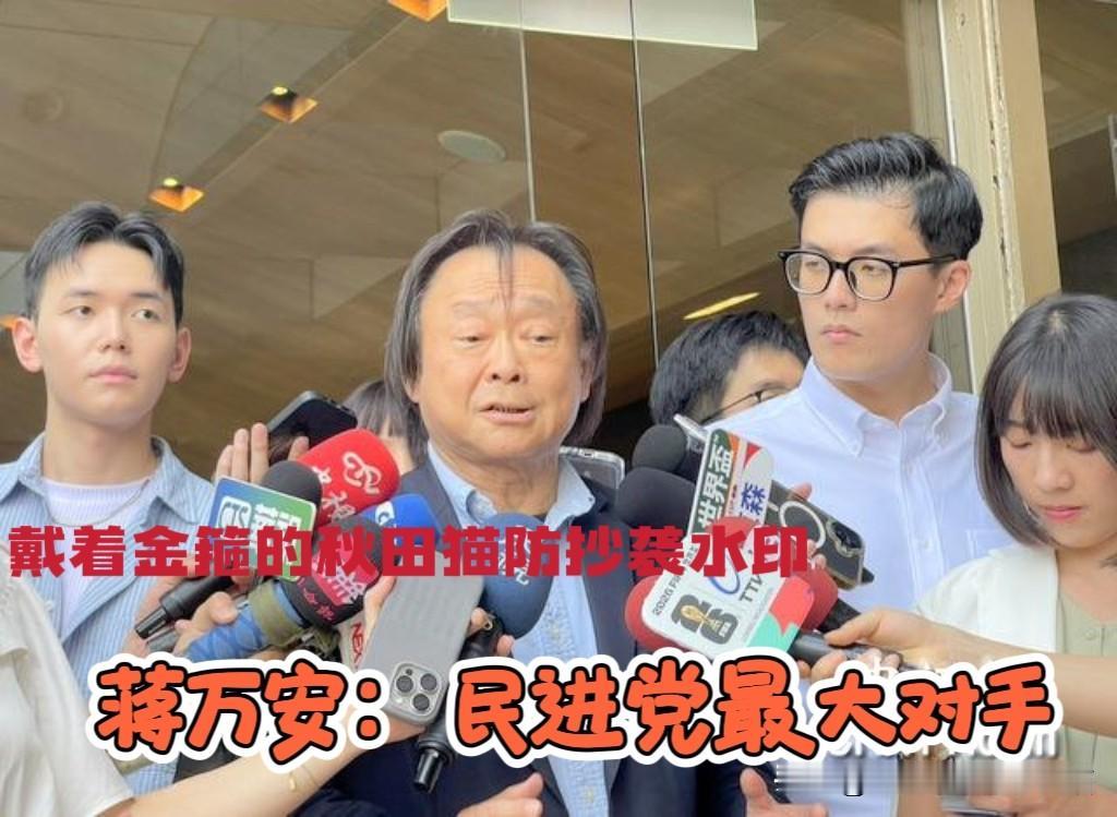 蒋万安是民进党最大对手！王世坚说，蒋万安很可能选2028，他是民进党最大、也最需