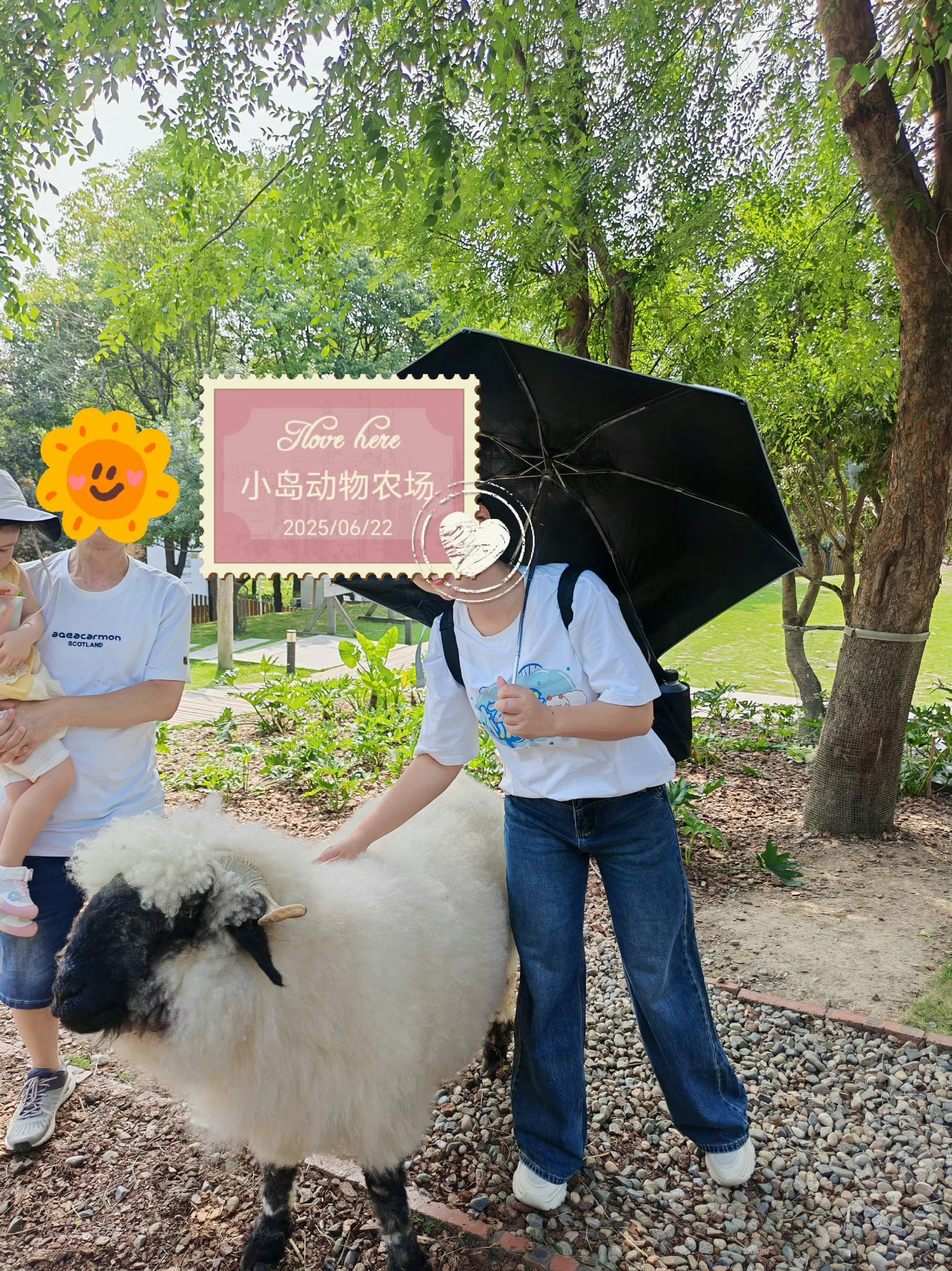 杨洋 才看到去年这一天去看了你的小羊肖恩，它已经胖成了🐷，今年还没去看过它