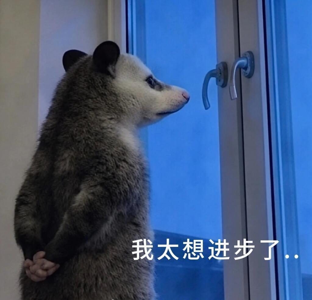 周二、周三的时候从早上就没停下来过，太棒了！太满足了！
周四的端午节前夕，一整天