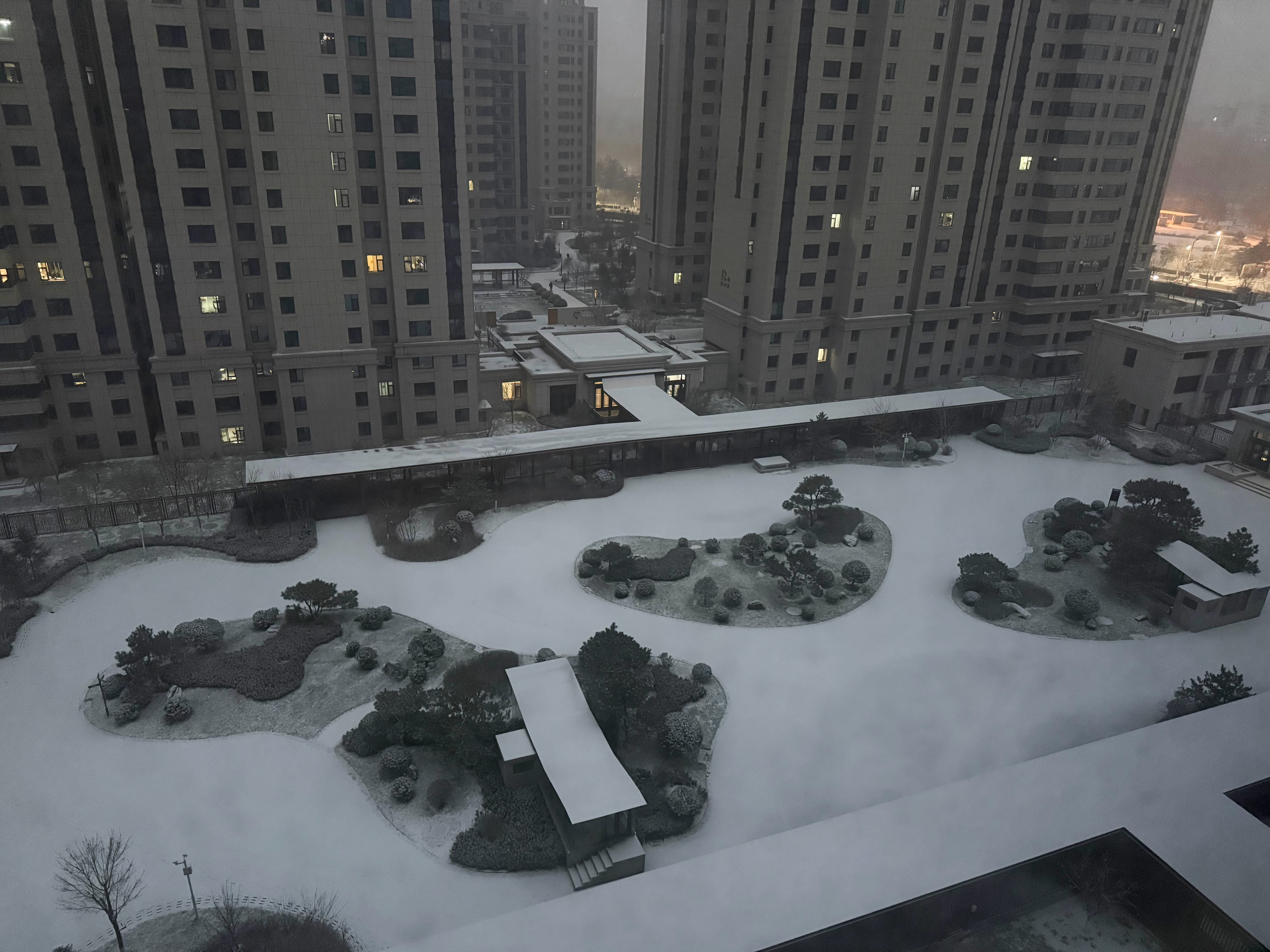 一觉醒来，世界全白了❄️ 