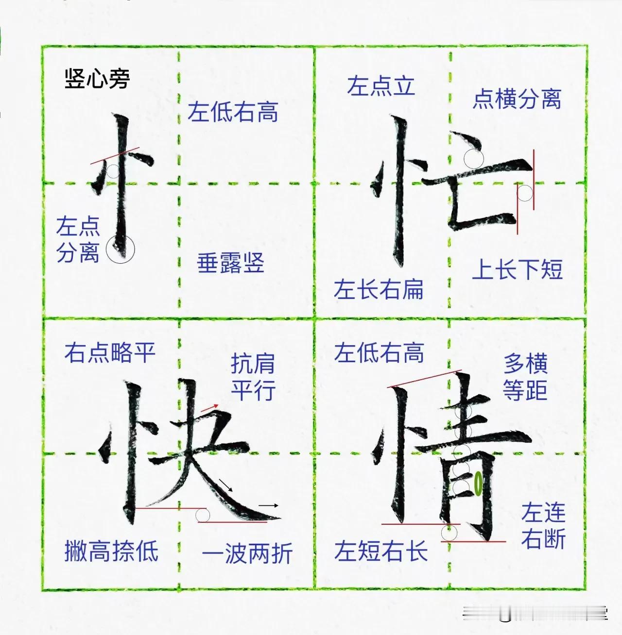 硬笔楷书偏旁部首字卡13【竖心旁】，收藏起来

竖心旁注意事项⚠️： 
1.竖心