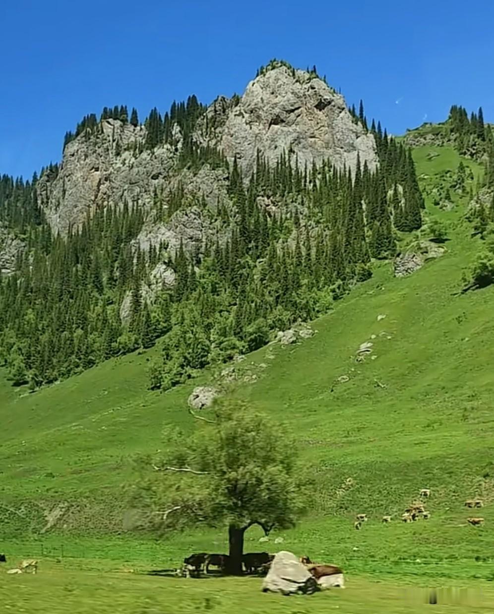 有没有好看的风景图片分享百里画廊唐布拉小华山路段