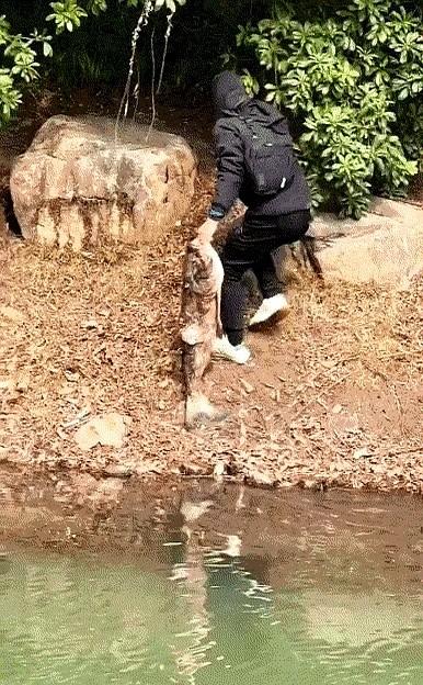 大哥从早上钓到下午，才掉了这么大一条鱼

结果一不小心把鱼弄跑了，他气得两顿饭都