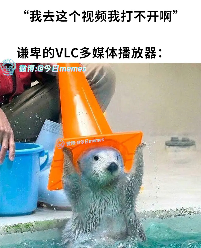 我来（9gag）今日meme今日memes