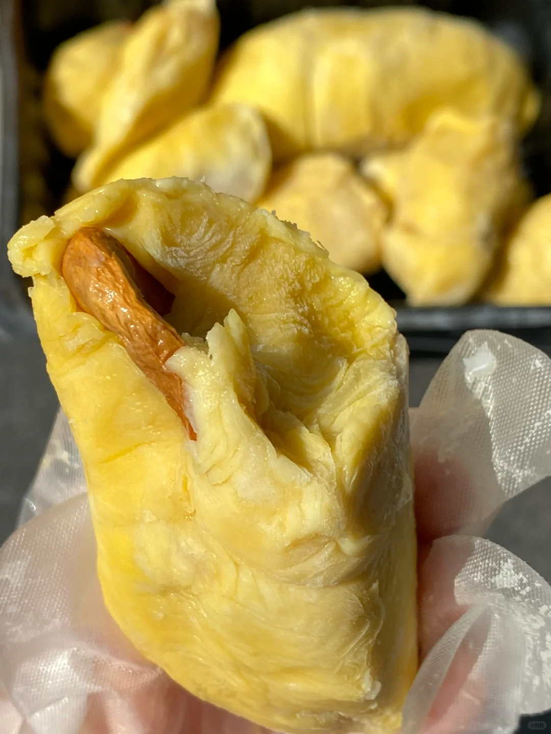终于找到又小又薄的榴莲果核！！太过瘾了！🤣