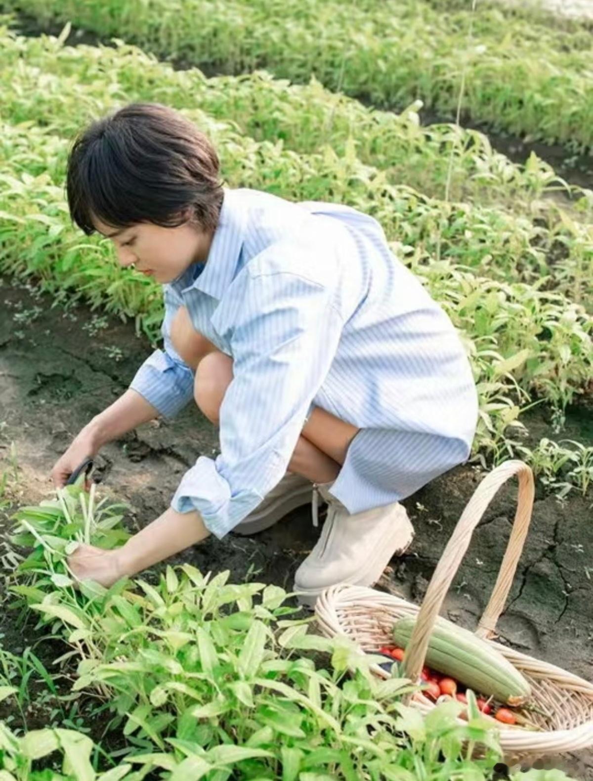 孙俪：体验农场生活，悠闲惬意！ ​​​