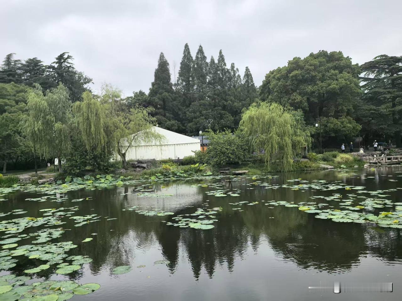 分数公布日
热搜排行榜中，高考查分话题很热。
身边没有高考家长，不能切身感受到那