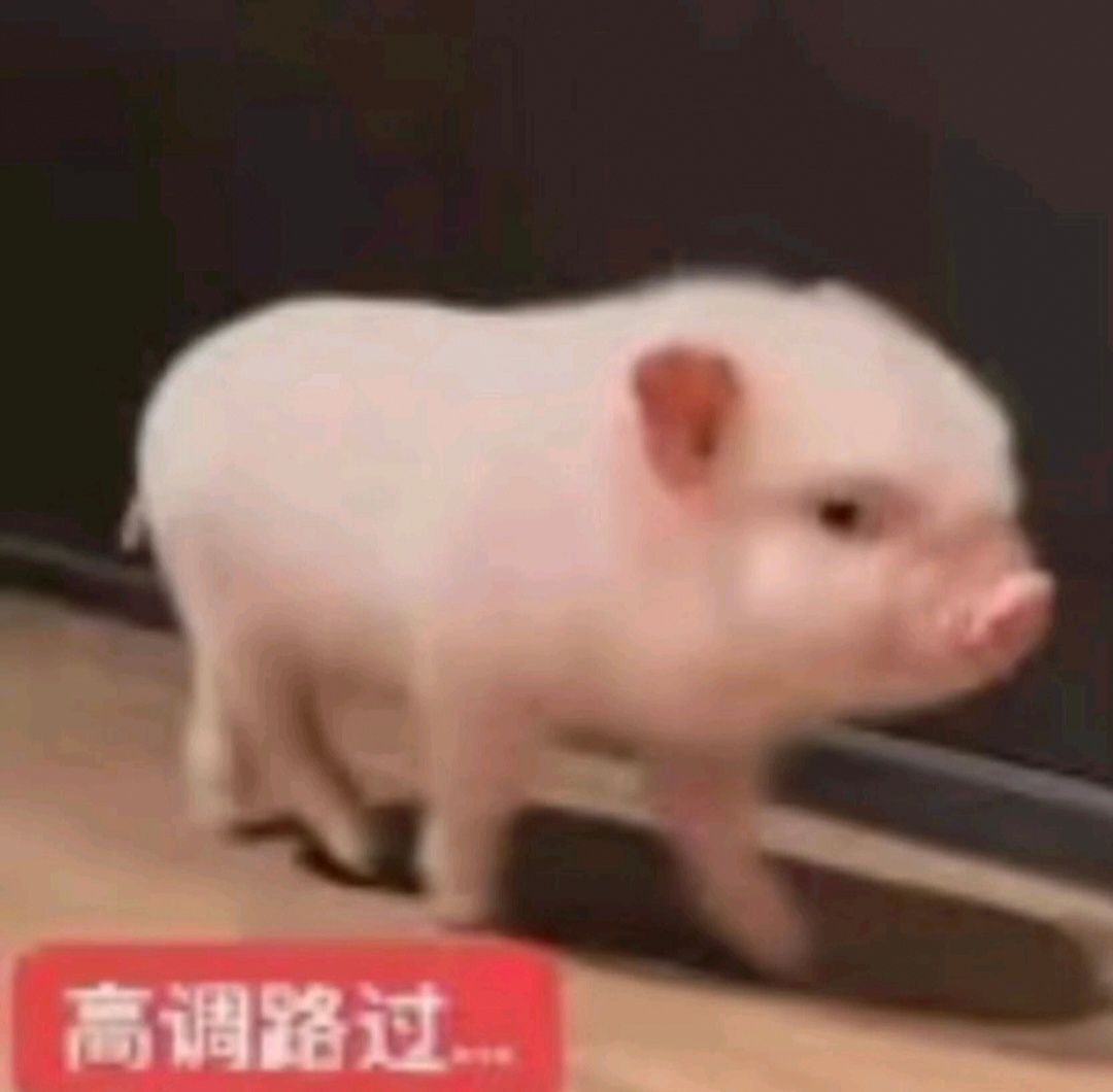 分享图片 